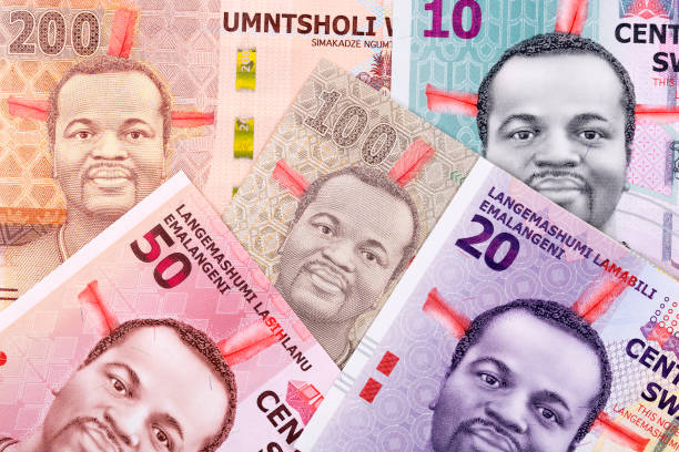 Eswatini Money Emalangeni - FinGuard Magazine